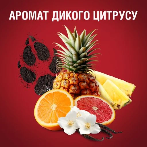 Твердий дезодорант Old Spice Wolfthorn для чоловіків, 50 мл